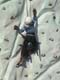 mur_de_glace_07