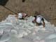 mur_de_glace_09