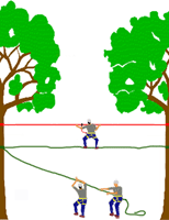 pont de singe interactif