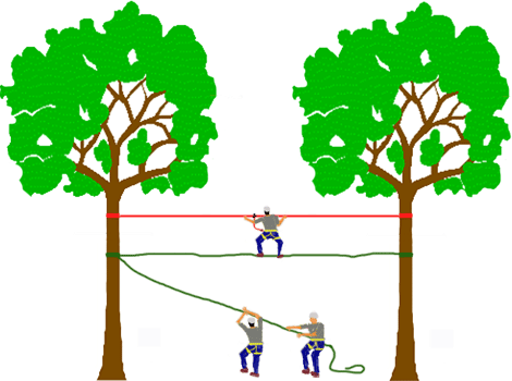Pont de singe interactif