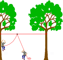 saut pendulaire